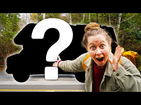 WE BOUGHT A NEW VAN!! (and it's not what you expect)