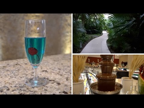 TRAVEL, ARRIVAL & CHOCOLATE FOUNTAIN IN MEXICO | 🇲🇽MexiVLOG🇲🇽 DAY 1