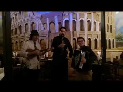 Lorenzo Lucchesi Playing Accordion 2014.