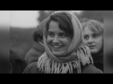 VYTAUTAS BABRAVIČIUS (Simas) Miestas kaimiečio akimis