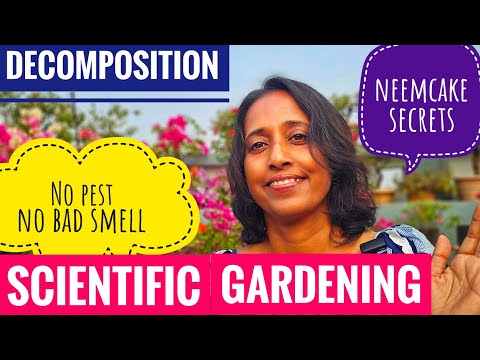 Complete Fertilizer Guide: Decomposition, Neem Cake, and Pest Control Secrets!