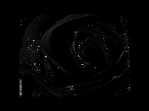 George Nicolescu - Celei care pleaca (HD)