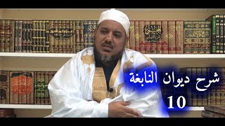 شرح ديوان النابغة الذبياني // 10 // الشيخ محمد محمود الشنقيطي image