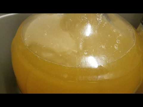 Easy alcohol at home! Mead Day 2.