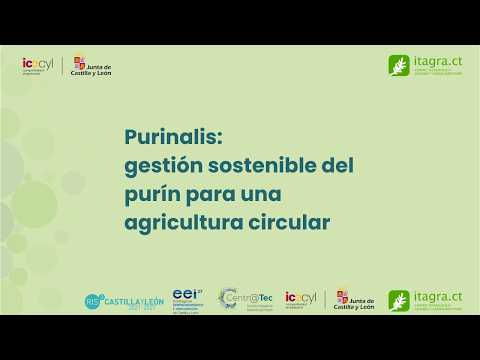 Miniatura YouTube