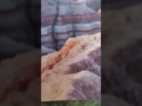 leviticus 17:10-16, esv Laws against eating blood