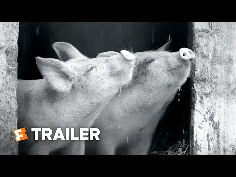 Gunda Trailer #1 (2021) | Movieclips Indie