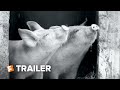 Gunda Trailer 1 2021 Movieclips Indie