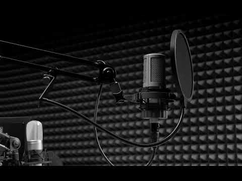 Pepson - Prekmurščina