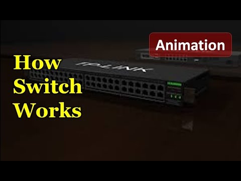 Animation of working of Switch | How switch works
