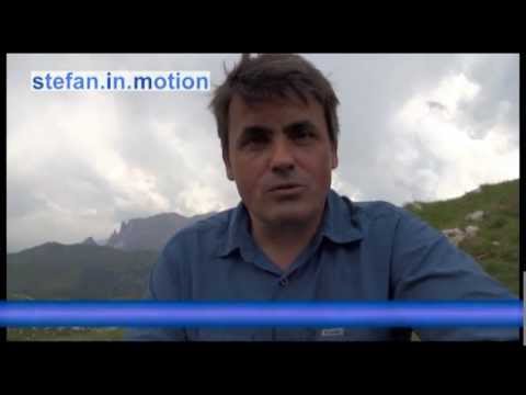 Die Wirkung der Organisationsstruktur