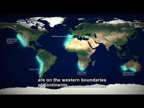 Mediterranean-Climate Ecosystems: Oceans and Mediterranean Climate (Accessible Preview)