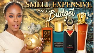 SMELL EXPENSIVE With These Affordable Perfumes!