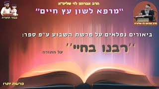 פרשת יתרו ''מרפא לשון עץ חיים'' הרב אברהם לוי שליט''א (ע''פ ספר - ''רבנו בחיי על התורה) (הרב שלמה לוינשטיין) - התמונה מוצגת ישירות מתוך אתר האינטרנט יוטיוב. זכויות היוצרים בתמונה שייכות ליוצרה. קישור קרדיט למקור התוכן נמצא בתוך דף הסרטון פרשת יתרו ''מרפא לשון עץ חיים'' הרב אברהם לוי שליט''א (ע''פ ספר - ''רבנו בחיי על התורה) (הרב שלמה לוינשטיין) - התמונה מוצגת ישירות מתוך אתר האינטרנט יוטיוב. זכויות היוצרים בתמונה שייכות ליוצרה. קישור קרדיט למקור התוכן נמצא בתוך דף הסרטון