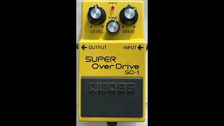 BOSS SD-1 Rig Run Thru #bosspedals #sd1  #overdrive  #drprophecy