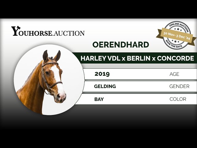Oerendhard