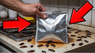 DIY Natural Insect Repellent – No More Flies, Roaches, or Mosquitoes