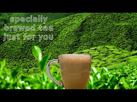 How to make a perfect cup of Tea with Milk