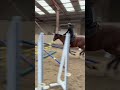 Hongre 4 ans &agrave; vendre 