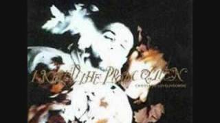 The Paint Brush Killer