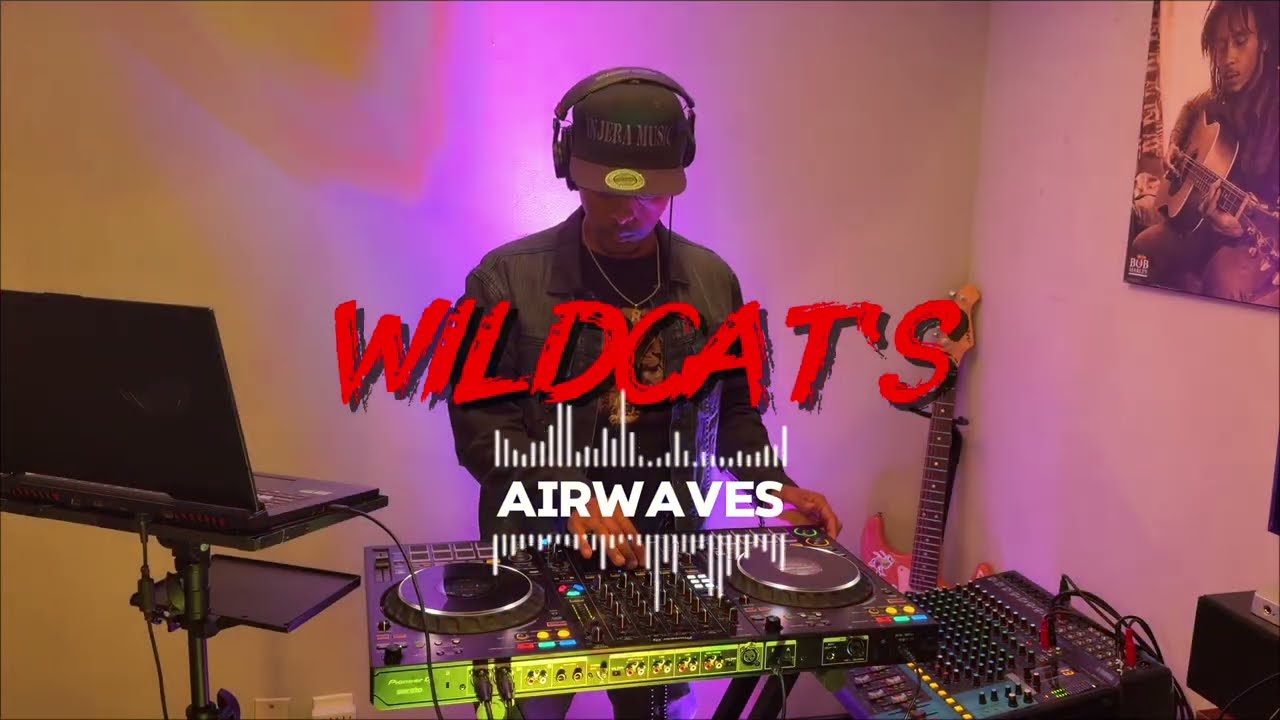 Promotional video thumbnail 4 for Wildvision Media