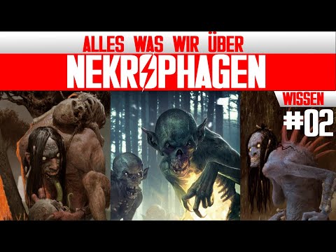 All "Necrophages" from The Witcher 3: Wild Hunt and More (Part 2) - Witcher Lore - LoreCore