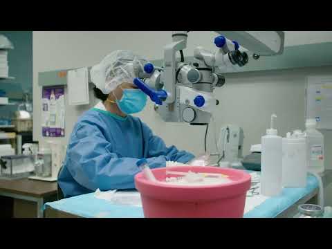 Home: Comprehensive Transplant Center: Feinberg School of Medicine    