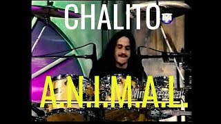 A.N.I.M.A.L. - CHALITO en vivo - Ruta Rock 1996 - AUDIO HD