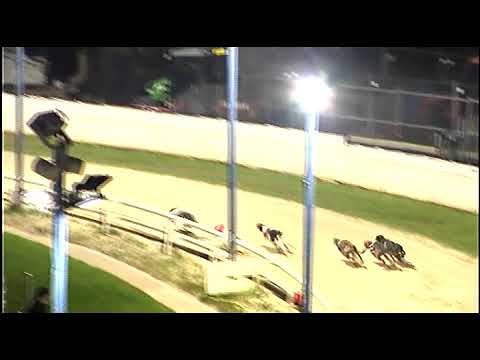 Fabulous Azurra   Oaks R1H5