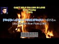 Can T Help Falling In Love Elvis Presley Lyrics Guitar Chords