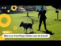 Hond van Biden heeft weer iemand gebeten