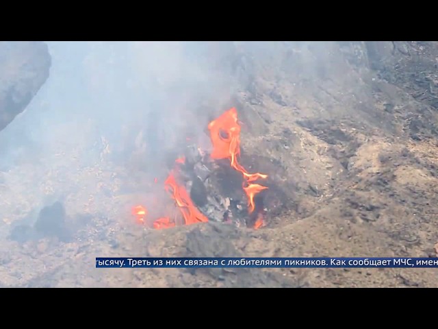 300 человек оштрафовали на пикники в лесах