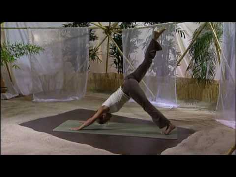 Yogaist.de - Der Hund - Adho-Mukha-Svanasana - DVD Yoga für Körper, Geist & Seele mit Inga Stendel