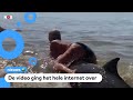 Politie doet onderzoek naar vrouw die op walvis klom