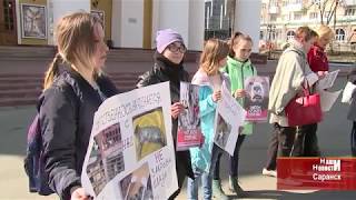В Саранске зоозащитники провели акцию добра