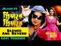 Priya Re Priya Re (Slowed And Reverb) Lofi Version | Sakin Khan & Apu Biswas | JR LoFi