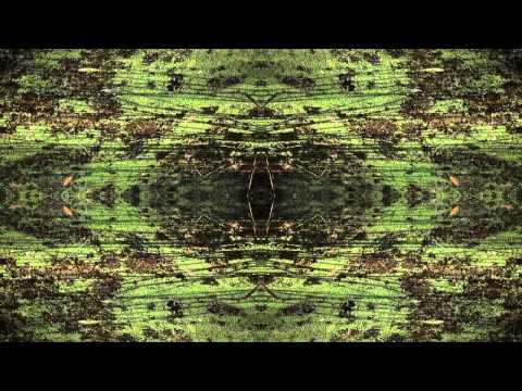 "Pastorale" video art excerpt-Yilan Yeh 葉怡蘭 music-Colin Offord