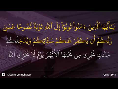 download lagu mp3 mp4 Surah Tahrim Ayat 8, download lagu Surah Tahrim Ayat 8 gratis, unduh video klip Surah Tahrim Ayat 8