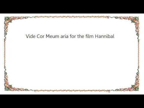 Vide Cor Meum