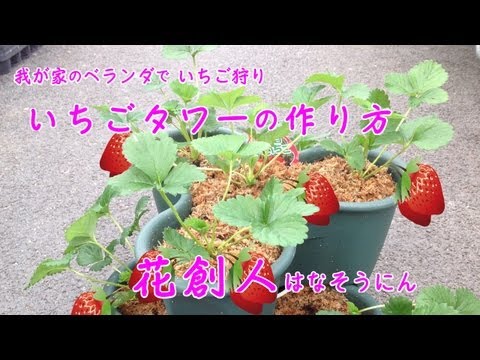 園芸 イチゴタワーの作り方は?