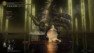 Elden Ring Radagon and Elden Beast Blaster