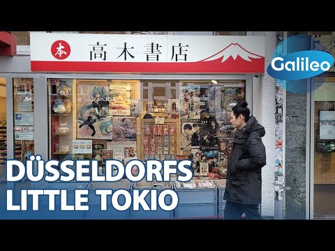 Willkommen in Little Tokio: Die größte japanische Community Deutschlands