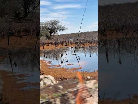 Cruz del Eje se vive así #pesca #asado #fishing