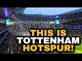 This is Tottenham Hotspur!