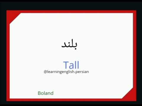 Tall in farsi (persian language)