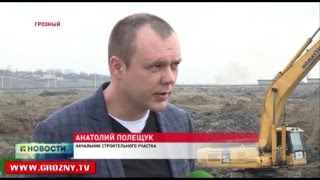 В Грозном появится дельфинарий, в котором можно будет пройти курс дельфинотерапии