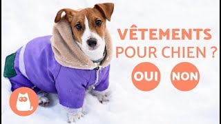 Est-il nécessaire d’habiller les chiens  - Vêtements pour chien
