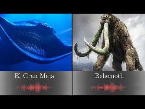 El Gran Maja vs Behemoth: Myth and Reality