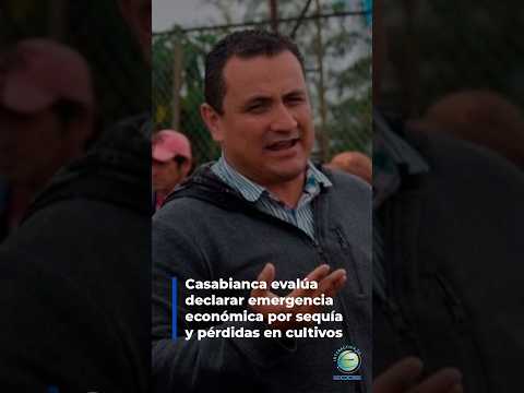 #Tolima | 💧 Casabianca evalúa declarar #emergencia económica por sequía y pérdidas en cultivos