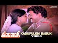 Manchi Donga Movie Songs Kadupuloni Babuki Video Chiranjeevi Vijayashanti Suhasini